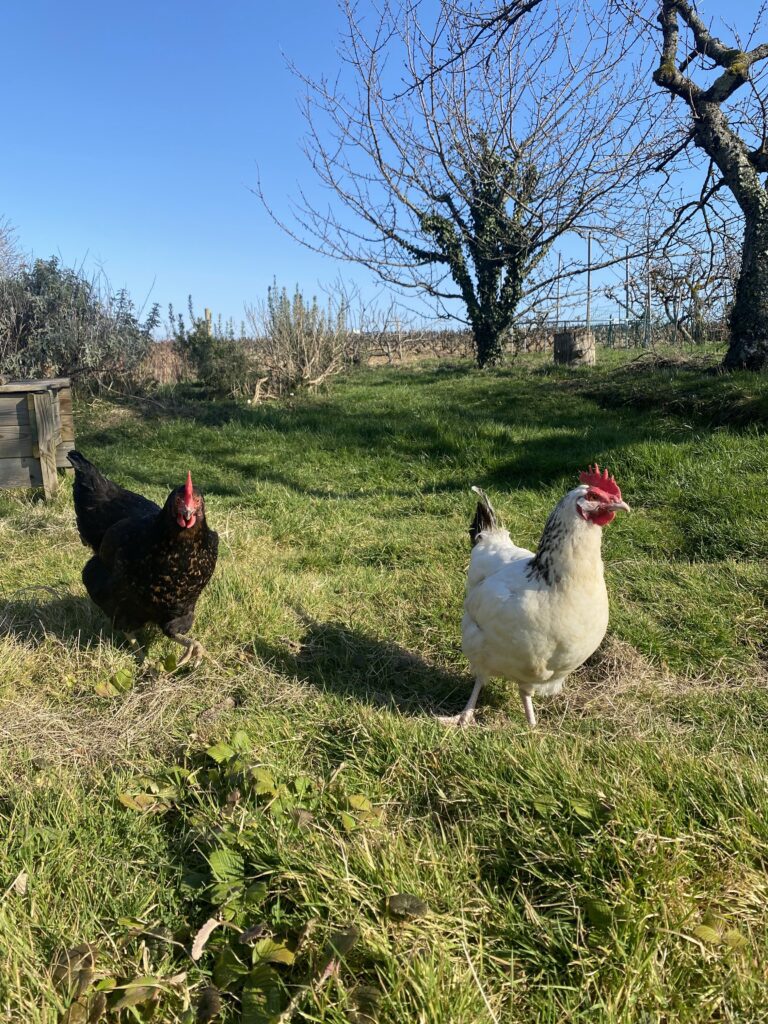 Le gîte d'Antoine Beaujolais