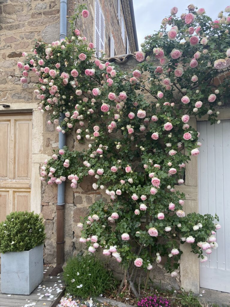 Le gîte d'Antoine Beaujolais